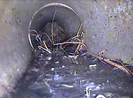Slurry build-up in front of roots in a drain