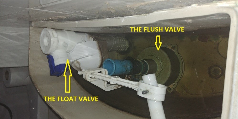 Flush valve and Fill valve