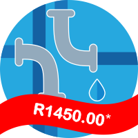 Leaking plumbing pipes with a banner across stating leak detection services from R1450